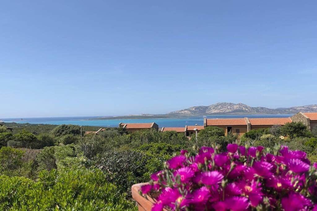 Terrazza Vista Mare Stintino Apartment Exterior foto